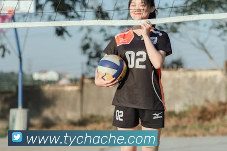 太阳城网站发展历程