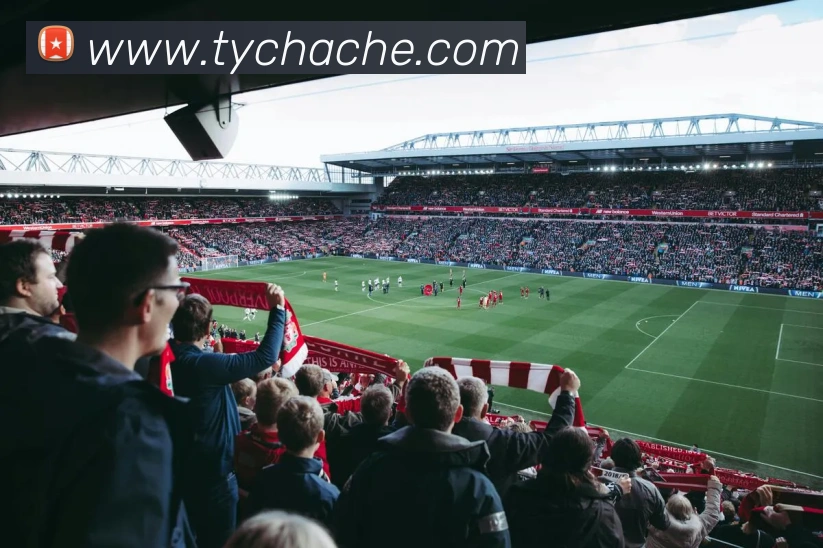 奖项3